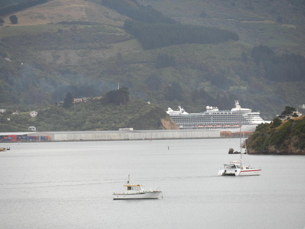 Otago Peninsula Motel Portobello Extérieur photo