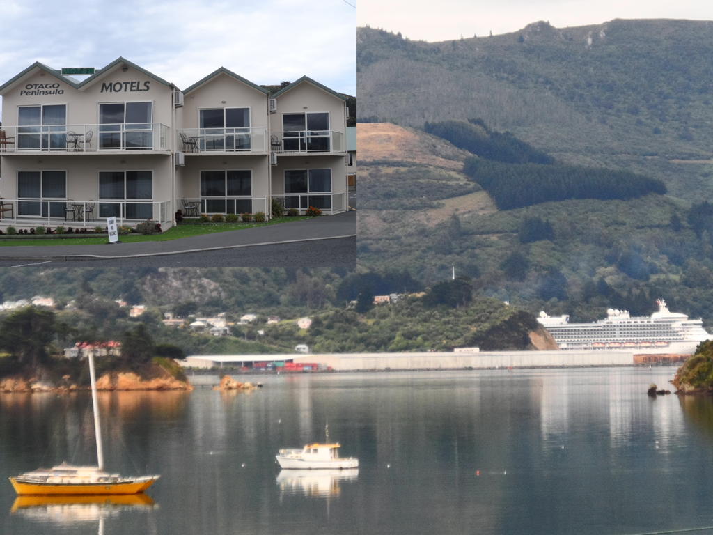 Otago Peninsula Motel Portobello Extérieur photo
